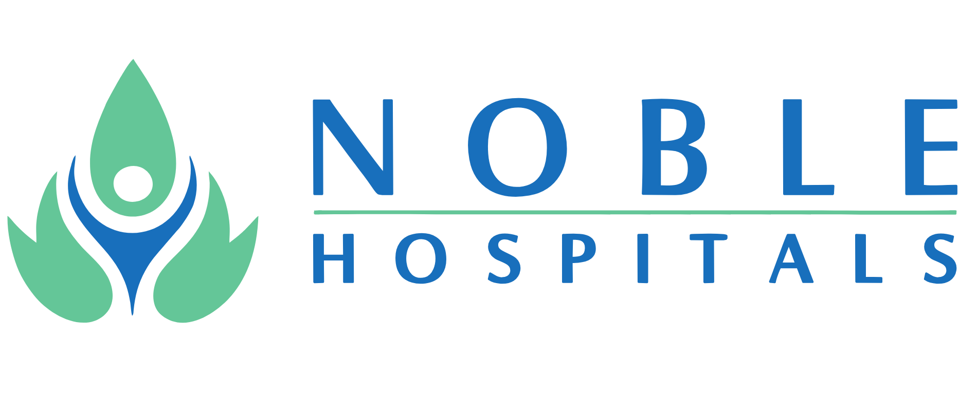 Noble Hospitals logo